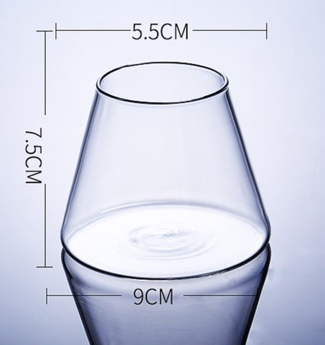 Glass cocktail glass wine glass drinkware Julia M LifeStyles 2PC 300 350ml  