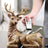 Deer Haven Resin Storage Box decorative storage deer Julia M Home & Kitchen Reddish Brown  