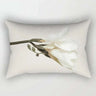 Nordic Geometric Plush Cushion Covers pillow case Julia M Home & Kitchen 22114yzt-000406- 300mmx500mm CN