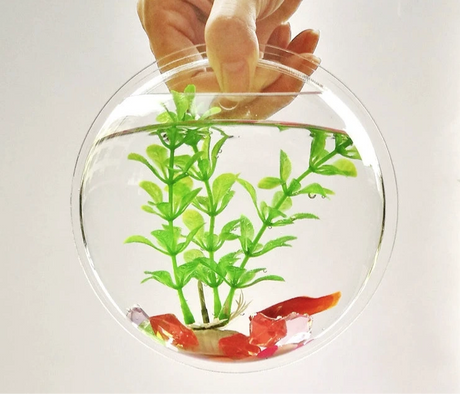 Wall-Mounted Fish Tank Vase - Creative Living Room Décor