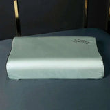 Cotton Embroidered Latex Pillowcase memory foam pillow case covers Julia M Home & Kitchen   
