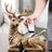 Deer Haven Resin Storage Box - Julia M LifeStyles