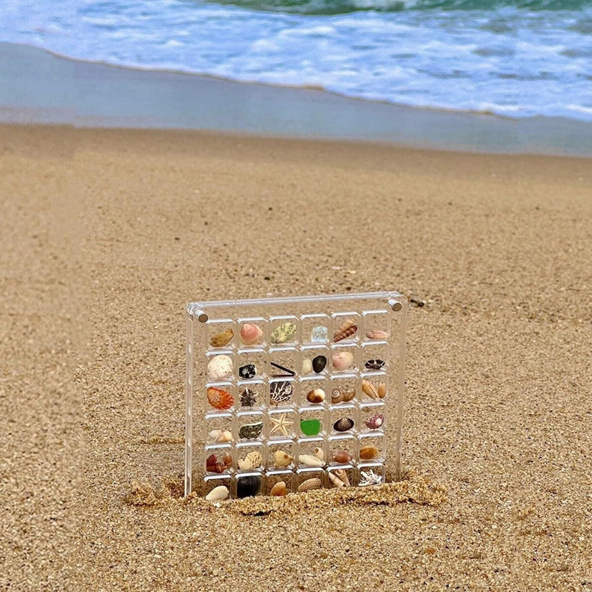 Exquisite Seashell Showcase Box 🐚 - Julia M LifeStyles