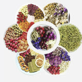 For Home Food Fruit Dehydrator Fruit and Vegetable Air Drying Cabinet Medicinal Materials Scented Tea Dehydrator Meat Pet Food Dryer - Julia M LifeStyles