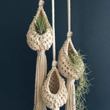 Handmade Green Macrame Plant Hanger - Julia M LifeStyles