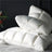 Include 2Pcs 20x30" Premium High End Natural Goose Down Pillows for Sleeping Down Pillow 100% Cotton Downproof Pillow Cover - Julia M LifeStyles