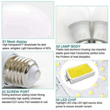 LED Bulb Lamps - Energy - Efficient Lighting - Julia M LifeStyles