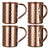 Luxurious Pure Copper Moscow Mule Mug Set - Julia M LifeStyles