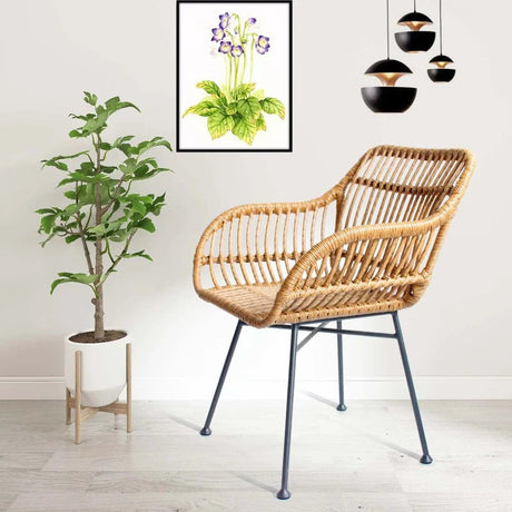 "Modern Rattan Dining Armchair - Nordic Design" - Julia M LifeStyles