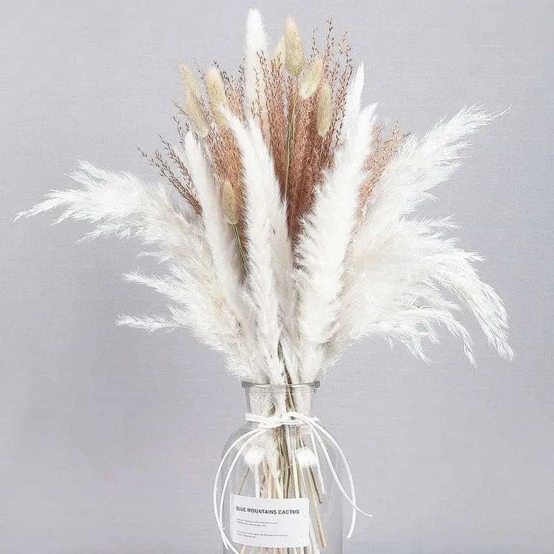 Natural Dried Pampas Grass Bouquet - Julia M LifeStyles