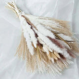 Natural Dried Pampas Grass Bouquet - Julia M LifeStyles