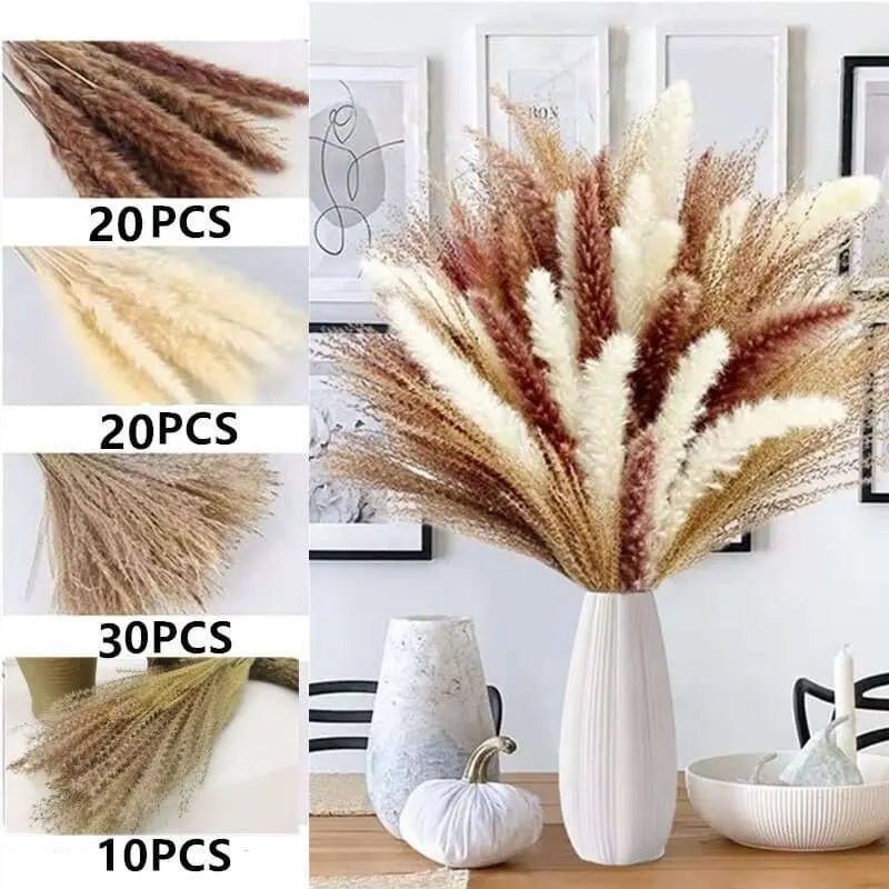 Natural Dried Pampas Grass Bouquet - Julia M LifeStyles