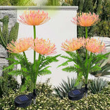 Solar Flower Lights: 2-Pack Outdoor Waterproof LED Garden Decor - Julia M LifeStyles