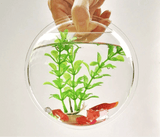 Wall-Mounted Fish Tank Vase - Creative Living Room Décor - Julia M LifeStyles