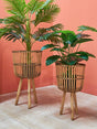 Wooden Rattan Flower Stand with Minimalist Design for Indoor Flower Pots & Green Plants - Julia M LifeStyles